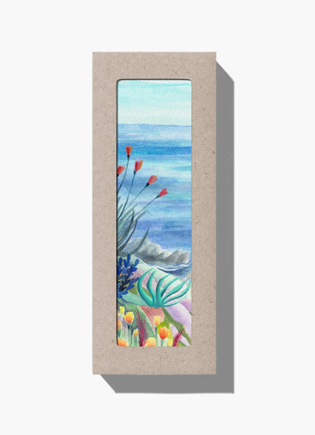 Gentle Cleanser